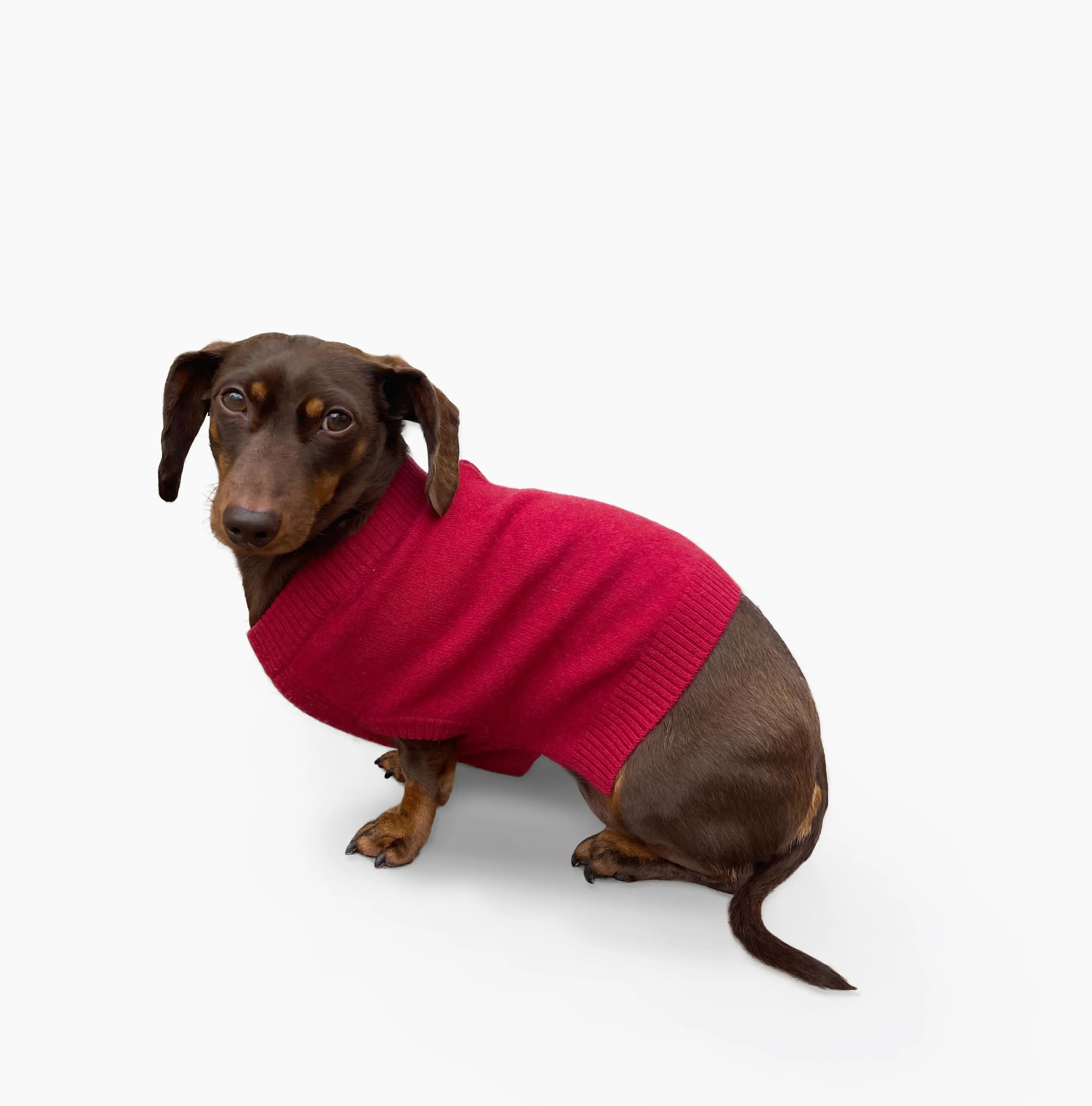 Cashmere Dog Sweater