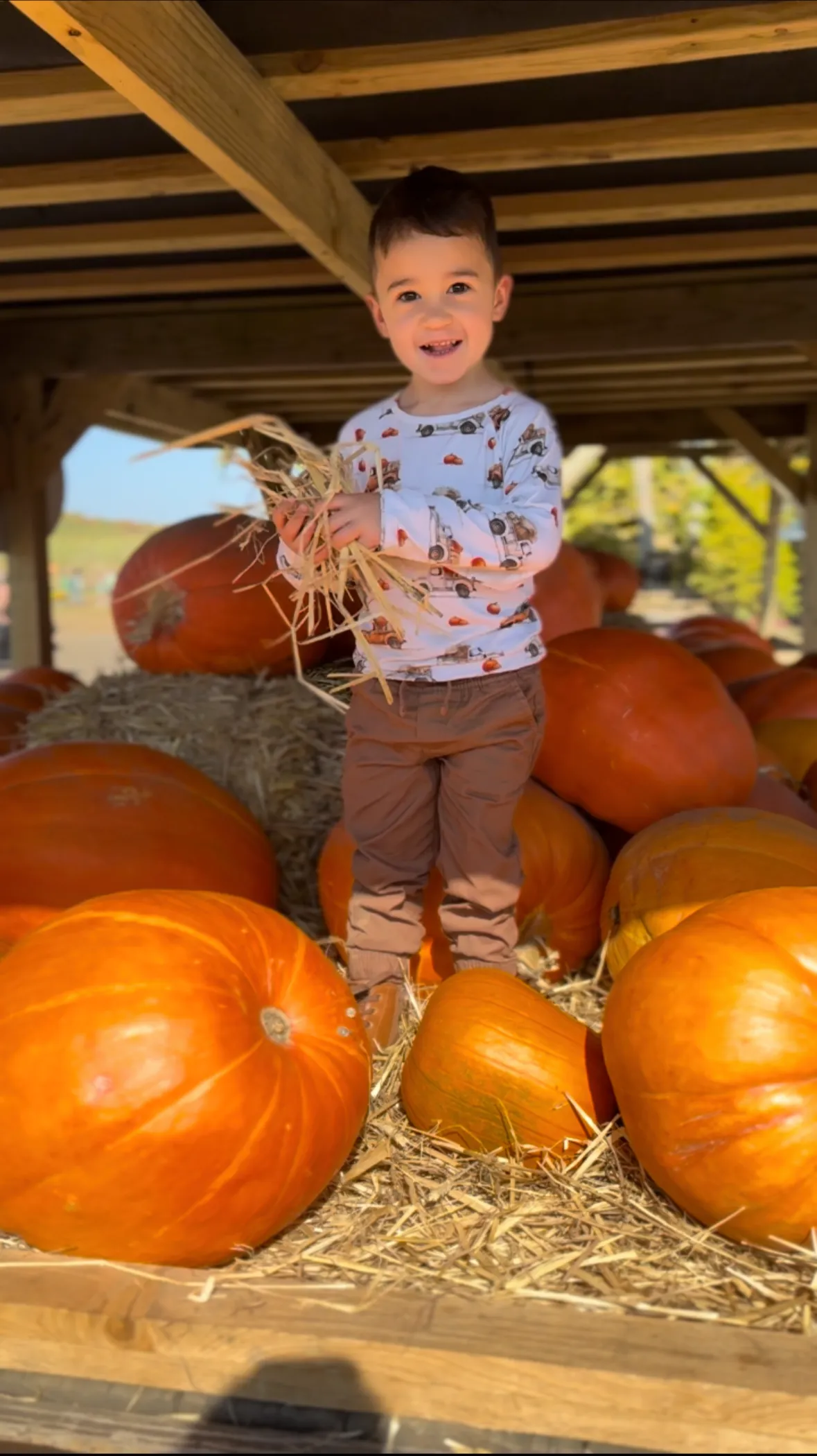 Heading to the Pumpkin Patch Long Sleeve Shirt