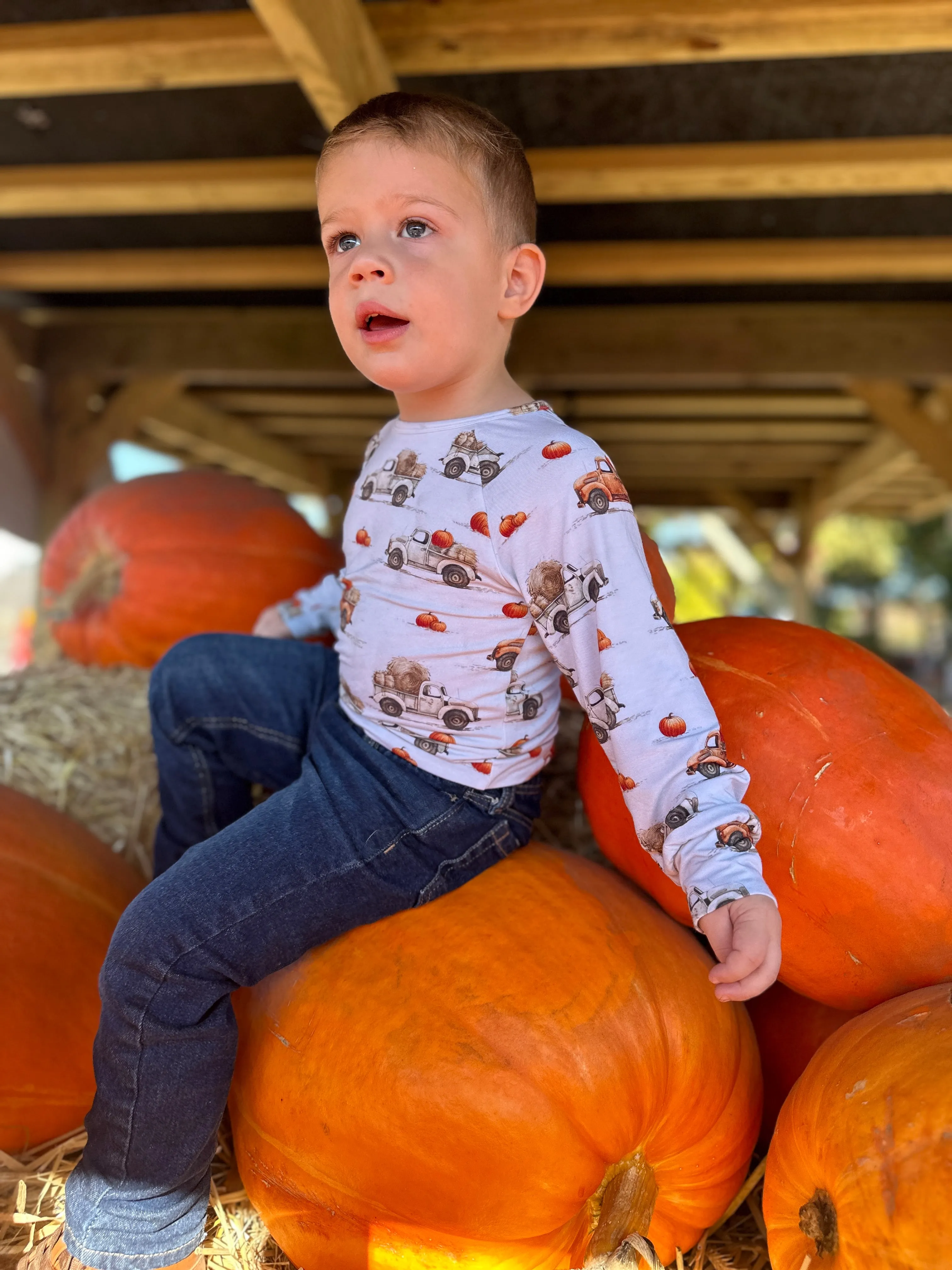 Heading to the Pumpkin Patch Long Sleeve Shirt