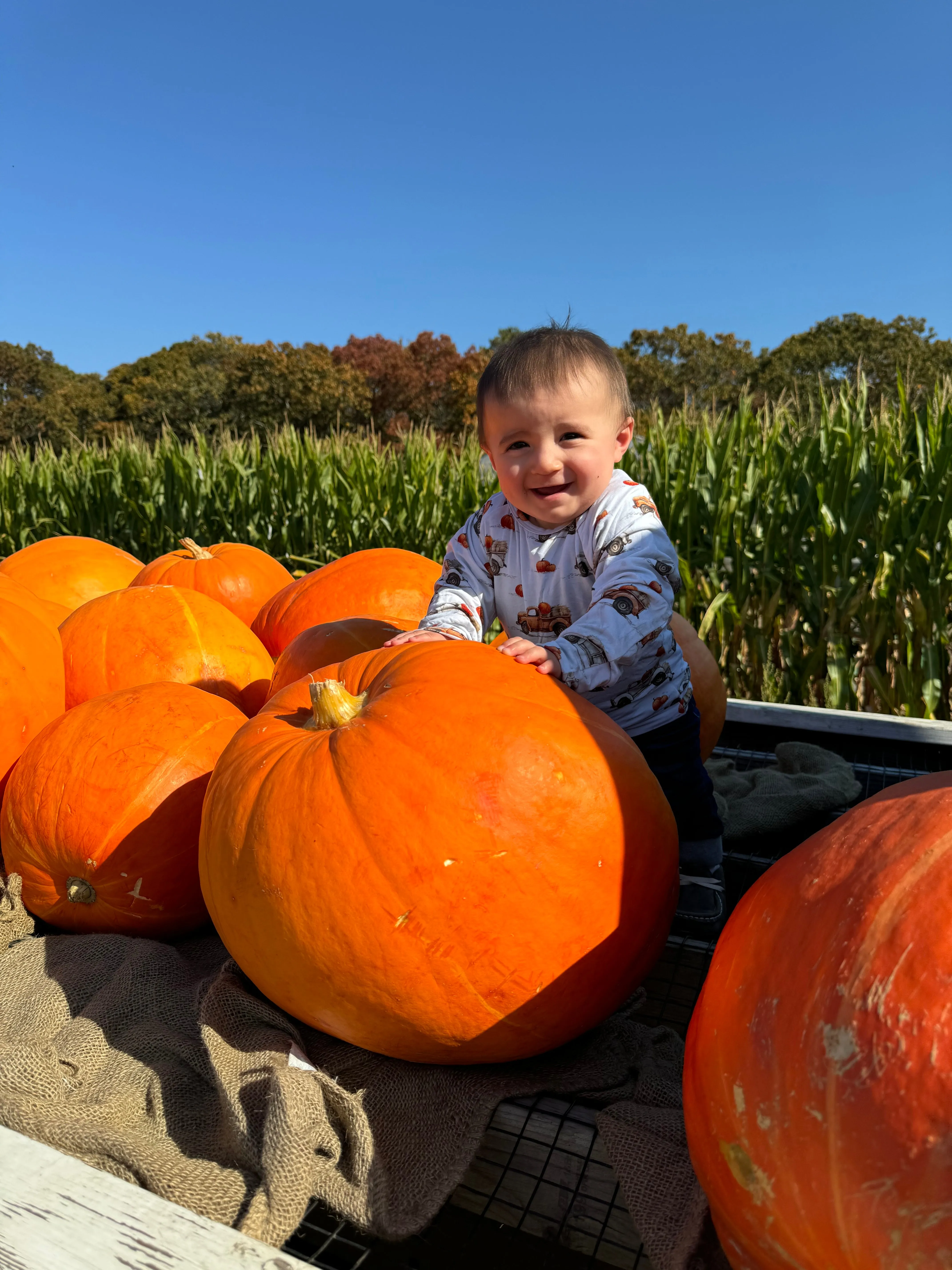 Heading to the Pumpkin Patch Long Sleeve Shirt