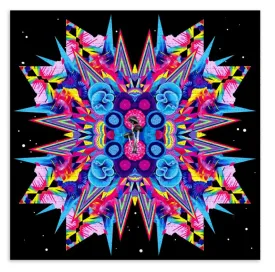 Kaleidoscopic Psyche II Blotter Paper Archival Print by Vexta