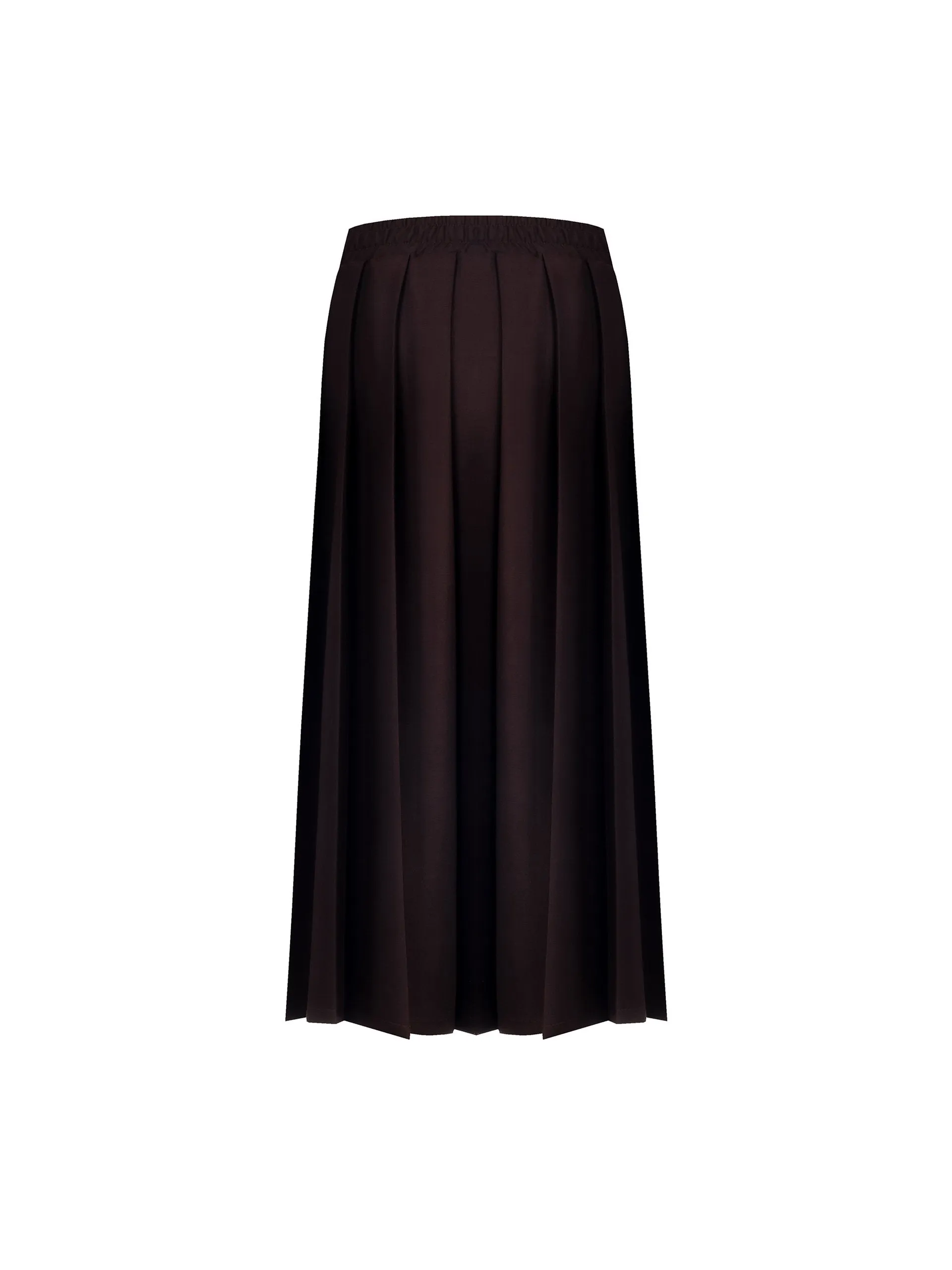 Long Pleated Skirt