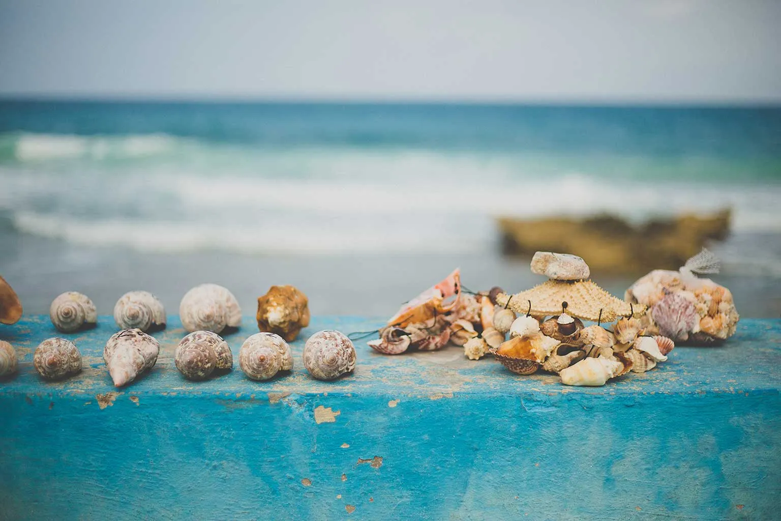 Seashell Photo Skirt